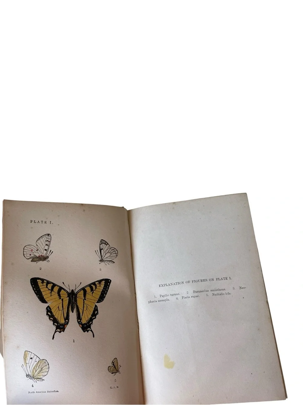 De Wolfe, Fiske & Co., Boston manual north